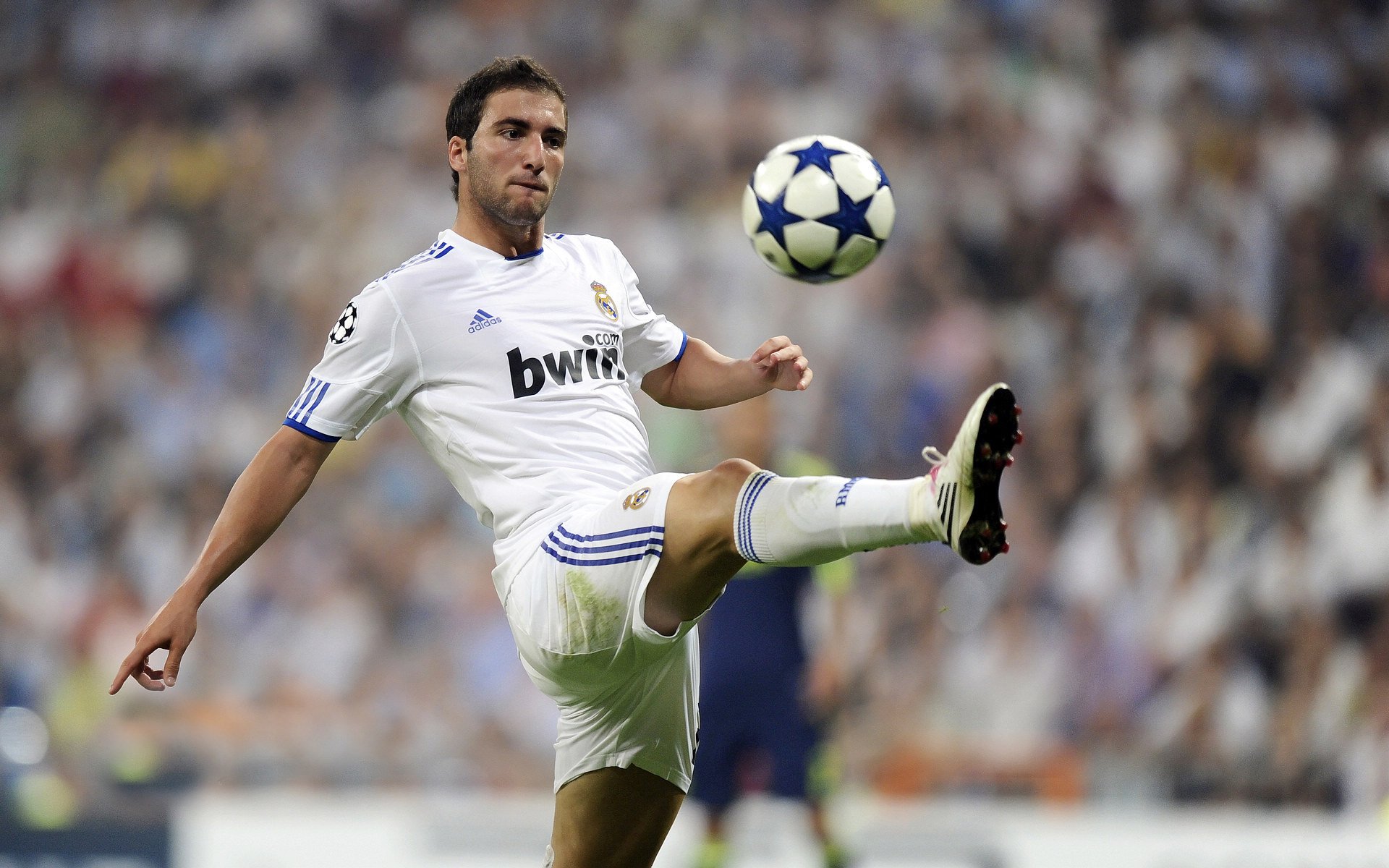 篮球的热度在中国持续升温，篮球的热度排世界第几